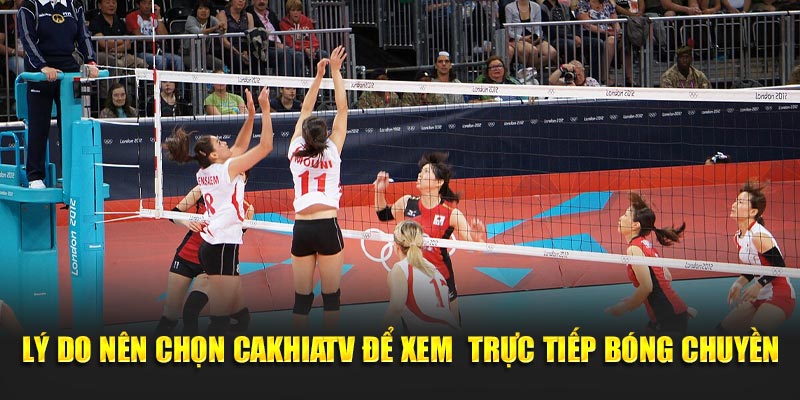 Lý do nên chọn CakhiaTV để xem trực tiếp bóng chuyền