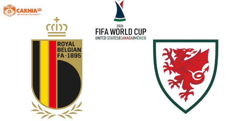 Thông tin tổng quan về trận đấu hấp dẫn giữa Wales vs Bỉ